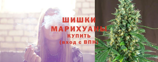 прущий лед Абаза