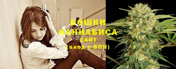 прущий лед Абаза